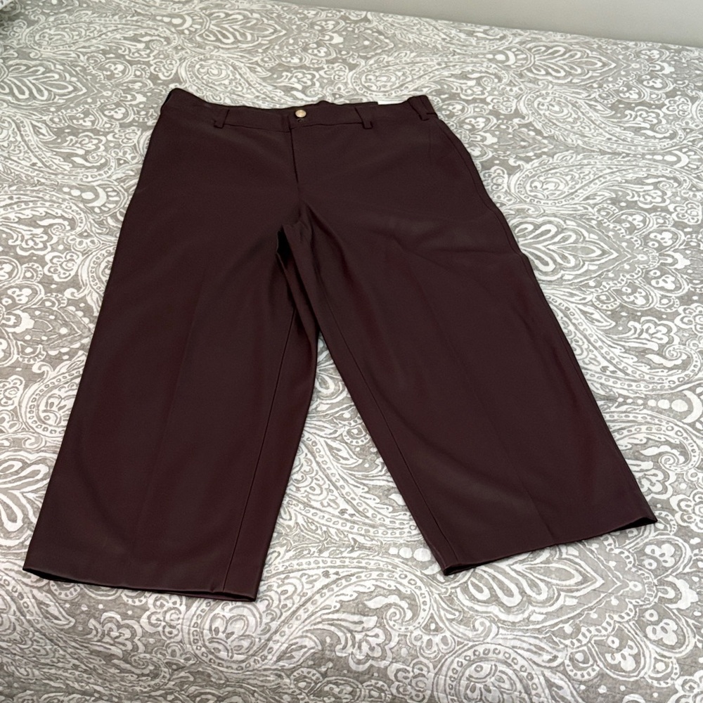 Chico's Deep Burgundy Trousers